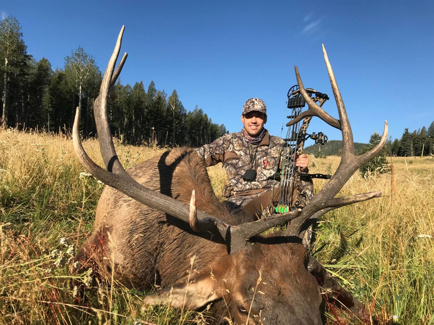 Luis with a bull elk taken with his bow